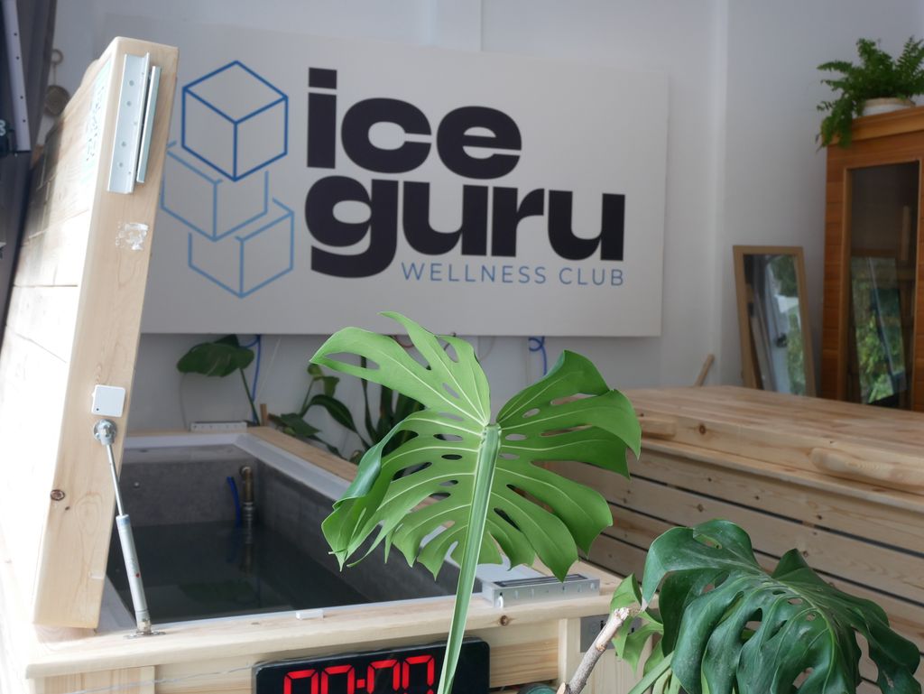 ICE GURU